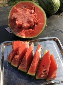 近期网红吃瓜汇总